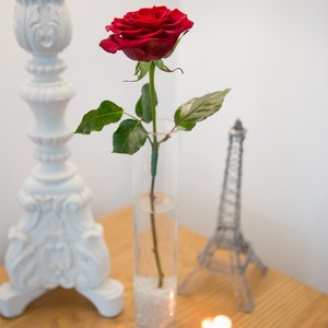 Single Rose and Vase