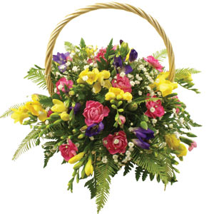 Freesia Basket