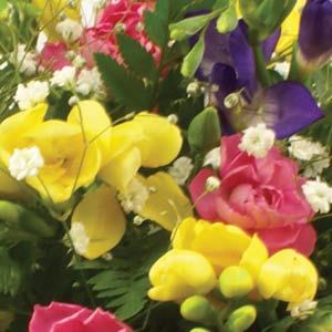 Freesia Basket