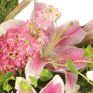 Pink Lily Casket Spray