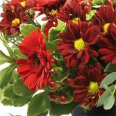Valentines Red Mix Aqua