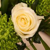 Shamrock Blooms Handtied