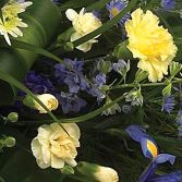 Blue and Yellow Casket Arrangement